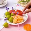 6Pcs Fruit Pick Reusable Bento Food Picks Cute Rainbow Star Heart Shapes Fruit K