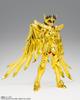 TAMASHII NATIONS Saint Cloth Myth EX Saint Seiya Sagittarius Seiya Successor of the Golden Cloth 170 мм ПВХ АБС окрашенная подвижная фигурка - - Прибл.. & &