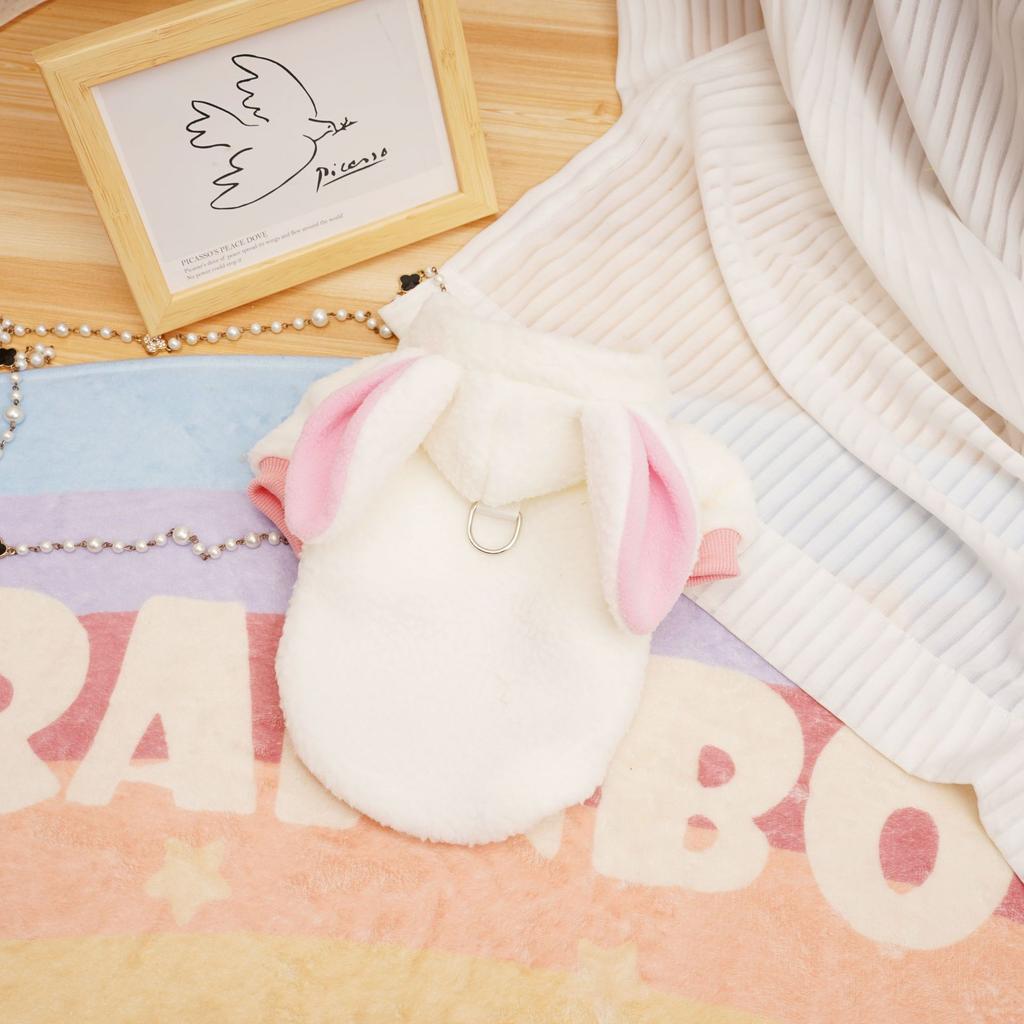 Одежда для кошек и щенков, осенне-зимняя, в корейском стиле, утолщенная плюшевая куртка, плюшевый медведь бишон, маленькая собака