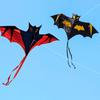 1,6 м Большой воздушный змей-летучая мышь Реалистичный Легко запускаемый Дельта-змей для Детей Детей Новичков На открытом воздухе Пляжное Развлечение На открытом воздухе Игрушка