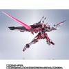 METAL ROBOT Spirits SIDE MS Infinite Justice Gundam 20th Anniversary Ver.