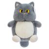 Soft Big Eyes Cat Plush Doll Fluffy Cat Stuff Doll Plush Pillow Cat Plush Toy  Children's Toys