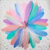 Natural Goose Feathers Dyed Multicolor Swan Feather for Crafts Wedding Jewelry Party Accessories 15-20cm/6-8 Inch