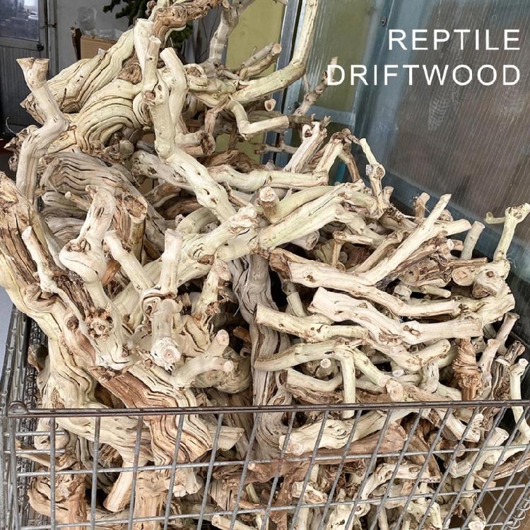 Reptiles Trunk Cave Natural Aesthetic Breeding Driftwood for Reptiles Wood Climbing Habitats Supplies