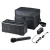 Sanwa Supply Акустическая система с беспроводным микрофоном MM-SPAMP4