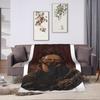 Baelor Targaryen Plush Blanket Boy Girl Flannel Throw Blanket For Home Decor Soft Warm Quality Bedspread Birthday Present