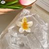 Gradient Transparent Large Flower Hair Clip Sweet Hair Claws for Women Resin Crab Clamp Barrettes Headwear Accessories