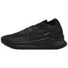 Pegasus Trail 4 Gtx V2 'Black Dark Grey' Sneakers HM9728-002