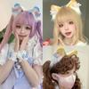 Cosplay Headpiece Beast Wolf Hair Hoop Cartoon Kitten Hair Styling for Halloween Headband Cartoon Kitten Animal Carnivals