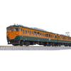 KATO N Gauge 113 Series 2000 Shonan Color JR Specification 7-Car Basic Set 10-1954 Model Train