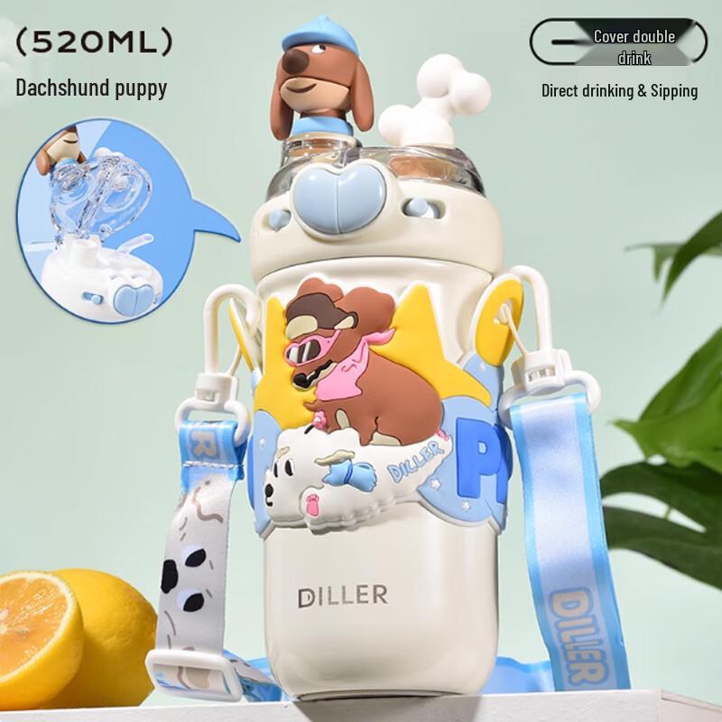 Diller Kids Insulated Dual-Drink Water Bottle