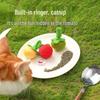 Catnip Teaser Toy with Bell