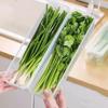 Коробка для хранения кориандра и зеленого лука, контейнер для свежести в холодильник, для лапши, яиц, овощей, герметичная коробка для хранения свежести
