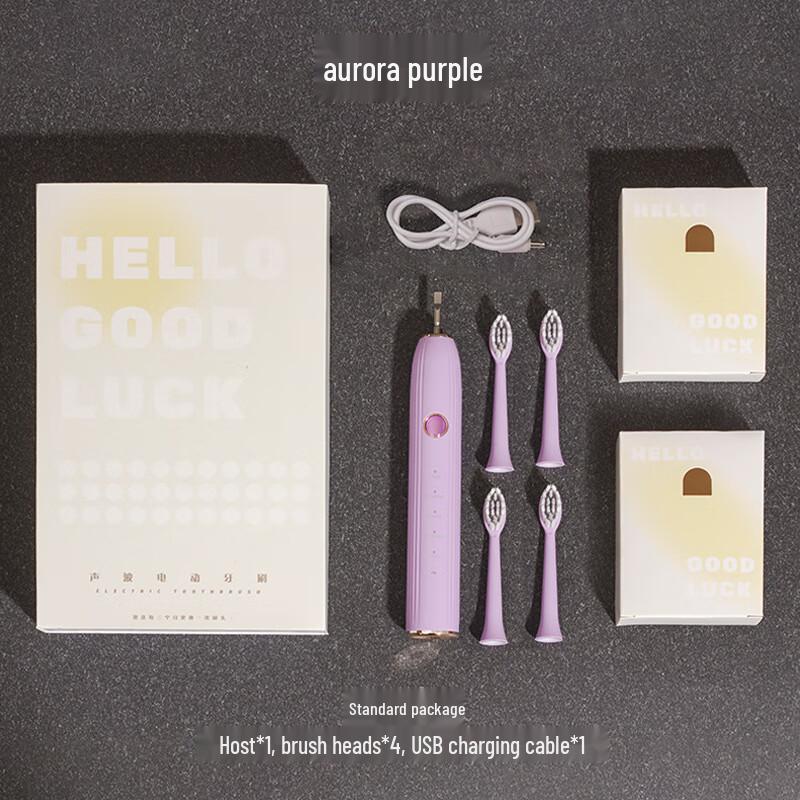 NEMASU CH-908 Adult Sonic Electric Toothbrush Gift Set