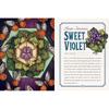 Иллюстрированный травник: Руководство и ритуалы от Bewitching Botanicals (Дикая Мудрость)