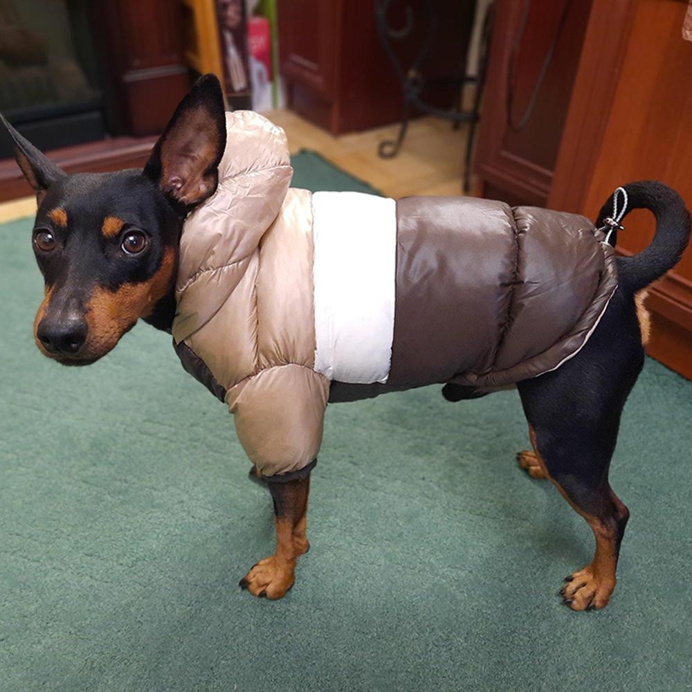 Одежда для собак Осенняя и зимняя теплая одежда с хлопковой подкладкой Водонепроницаемая куртка-пуховик Модная двуногая одежда