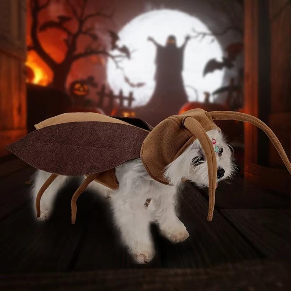with Wing Pet Cockroach Cosplay Costume Realistic Cat Cosplay Clothes Halloween