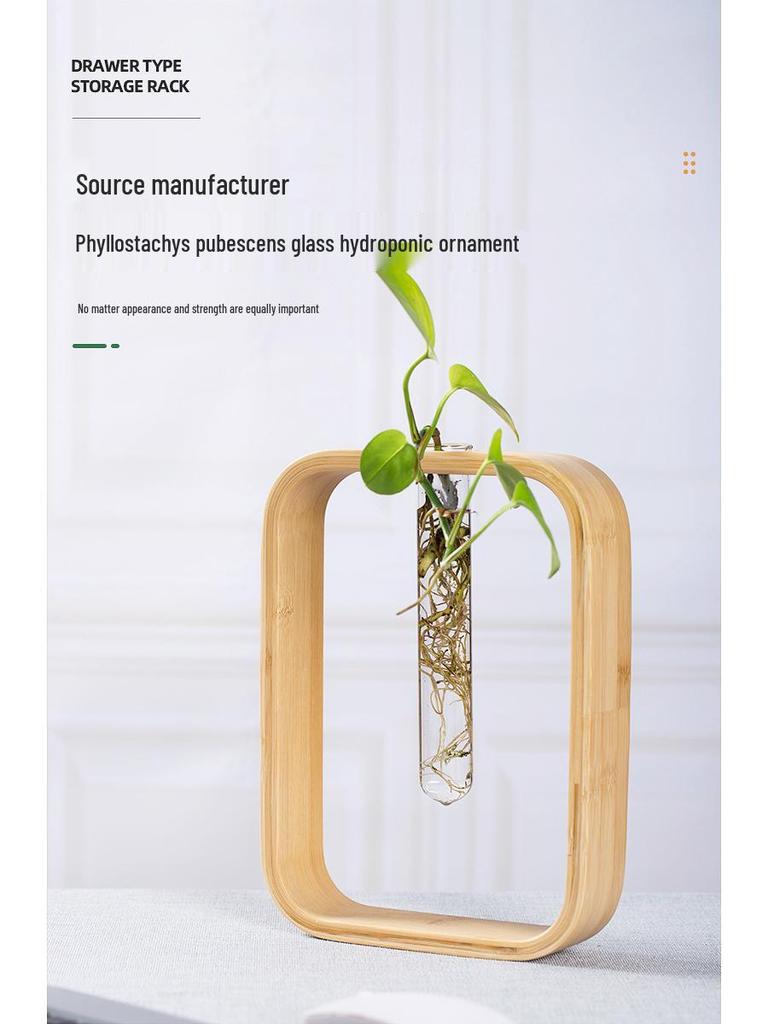 Nan Bamboo Glass Vase: Modern Minimalist Hydroponic Plant Container for Home, Office, Desk, or Wall Decor.