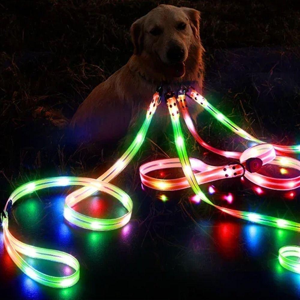 Водонепроницаемый ошейник для собаки с поводком, перезаряжаемый светящийся ошейник для собаки, ошейник на шею для собаки для ночных прогулок