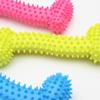 Interesting Molar Training Chew Rubber Thorn Bone Dog Toys chewing bite Teething Toy Puppy molar