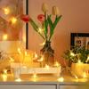 1pc 10/20/40 LED Star and Crescent String Lights Battery Powered Ideal For Ramadan Mubarak Celebrations and Wedding Party Decor