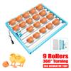 220V Automatic Chicken Eggs Turner Incubator Duck Quail Bird Poultry Eggs Tray 360 Degree Farm Incubation Tools Supplies