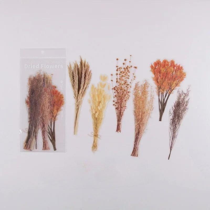 6 шт. Винтажные наклейки из ПЭТ с сухоцветами, декоративные, для дневника, рукоделия, скрапбукинга, планера, журнала, эстетичная канцелярия