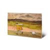 Racing The Clouds Home Wood Small Plaque