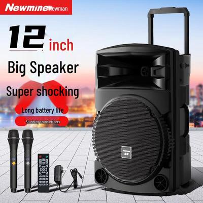 Newman N522 Портативная 12-дюймовая Bluetooth KTV Тележка-колонка CN вилка (адаптер в комплекте)