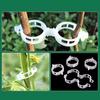 20Pcs Seedlings Fixing Clips Quick-open Plant Support Clips Clear Vine Fixing Buckles for Grafting Tying Vines And Hanging Plants Healthy Growth