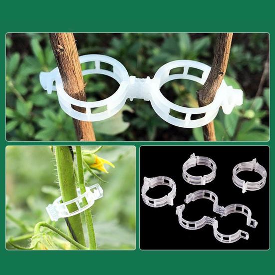20Pcs Seedlings Fixing Clips Quick-open Plant Support Clips Clear Vine Fixing Buckles for Grafting Tying Vines And Hanging Plants Healthy Growth