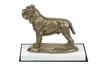 Neapolitan Mastiff, Mastino Napoletano - Dog Figurine, Figure On a White Base, Trophy for Dog Show Exhibition