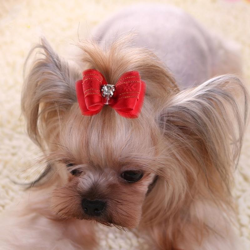 Pet Hair Bows Small Animal Pet Dogs Hair Accessories Multicolors Pack of 12