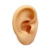 Силиконовая модель уха гибкая поддельная искусственная для демонстрации сережек имитация витрина