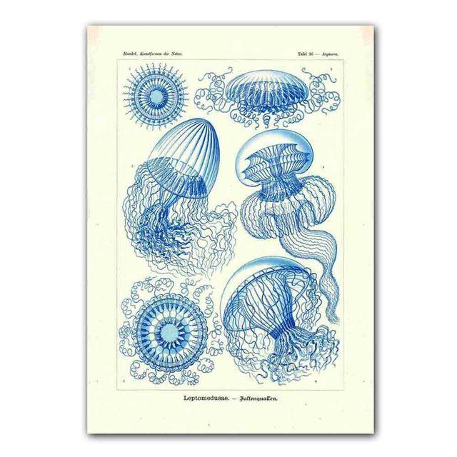Nordic RETRO art холст картина постер Marine Bioscience кухня гостиная коридор настенная живопись украшение дома фреска без рамки