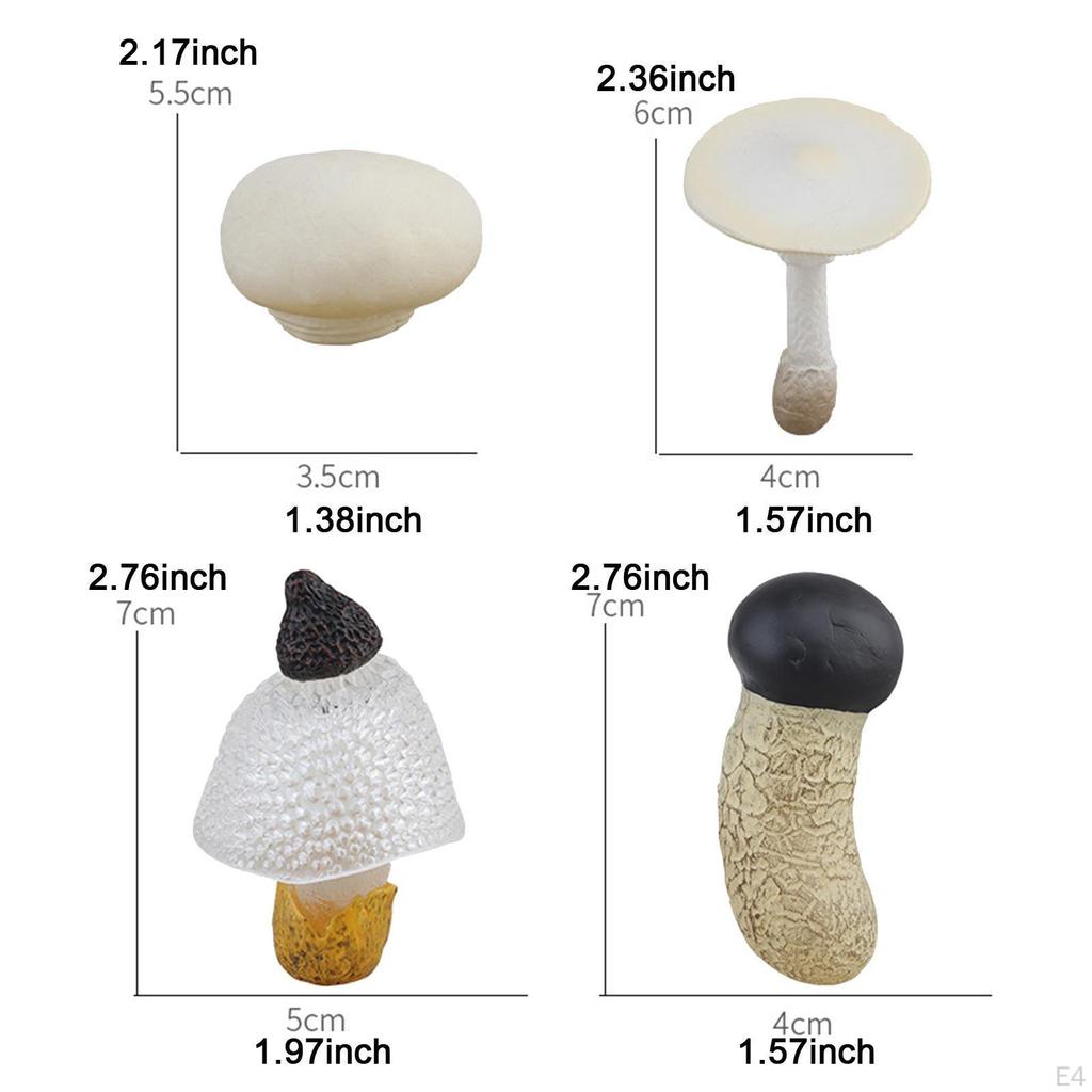 Children's Mushroom Development Stages Toy Set for Interactive Learning