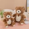Куклы-медведи Плюшевые игрушки-медведи Сопутствующие подушки Куклы-обнимашки