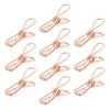 Multifunction Camping Supplies Keep Your Lights and Gear In Place Heavy Duty Tent Clip Pack of 10 Perfect for Outdoor
