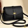 Luxury Women's Shoulder Crossbody Bag Monochromatic Women's Leather Bag Designer Brand New Fashion