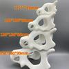 Украшение для аквариума Декор для аквариума 3D-печать в аниме-стиле Череп Укрытия для рептилий для террариума Среда обитания 100% Безопасное Украшение для дома