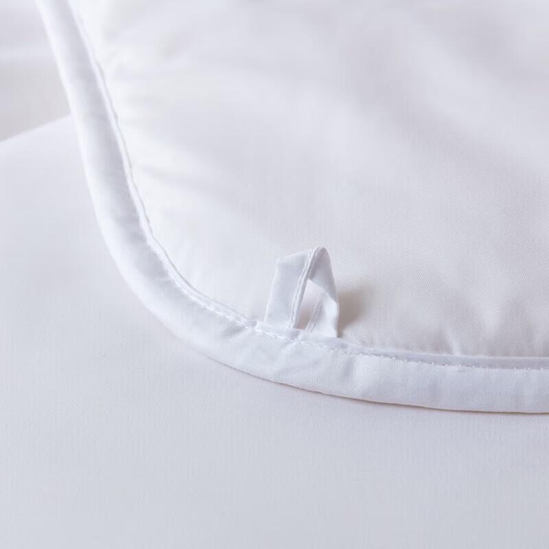 Mercury Home Textiles Anti-mite Antibacterial Mulberry Silk All-Season Quilt