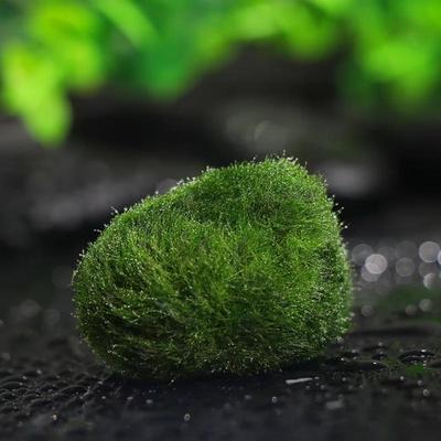Новый 1 шт. Имитация мха, флокированный камень, искусственный камень, газон, микроландшафтные украшения, декоративные аксессуары, домашний декор 2023 г.
