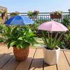 Weatherproof Plant Shade Umbrella Detachable Garden Umbrella Shade  Flower Beds