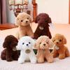 Curly Hair Plush Teddy Dog Doll - Small Puppy Toy for Children