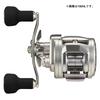 Daiwa Baitcasting Reel 26RYOGA 150H (DAIWA)