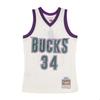 Maillot Milwaukee Bucks Swingman Team Color 1996/97