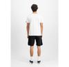 Шорты Alpha Industries Flying Tigers Short