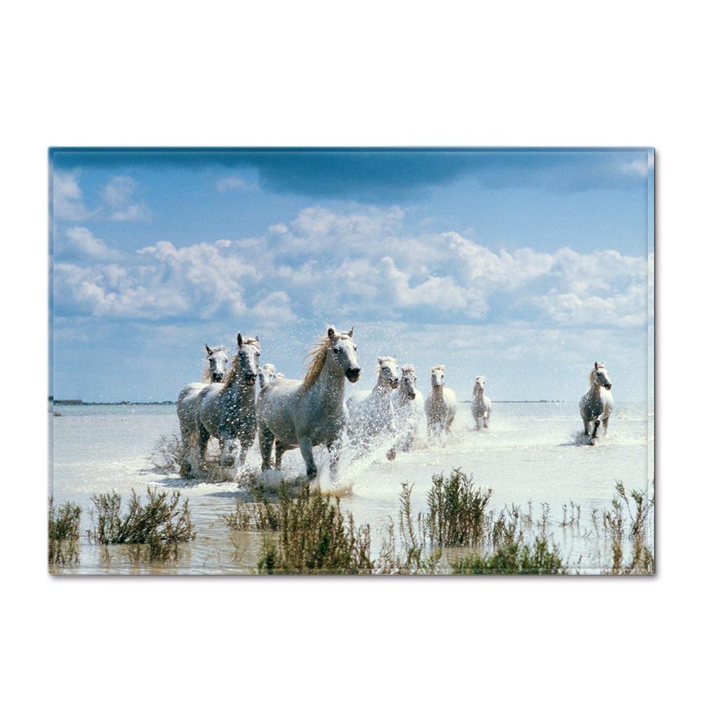 Животное Большой Ковер Перо Ветер Спальня Напольный Коврик