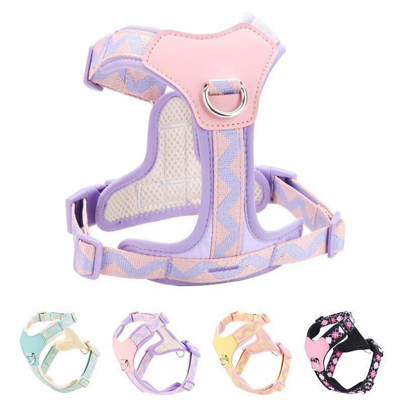 Dog Harness and Leash Set for Small Medium Dogs, Lightweight Breathable Mesh Puppy Harness, Adjustable Soft Pet Vest for Walking