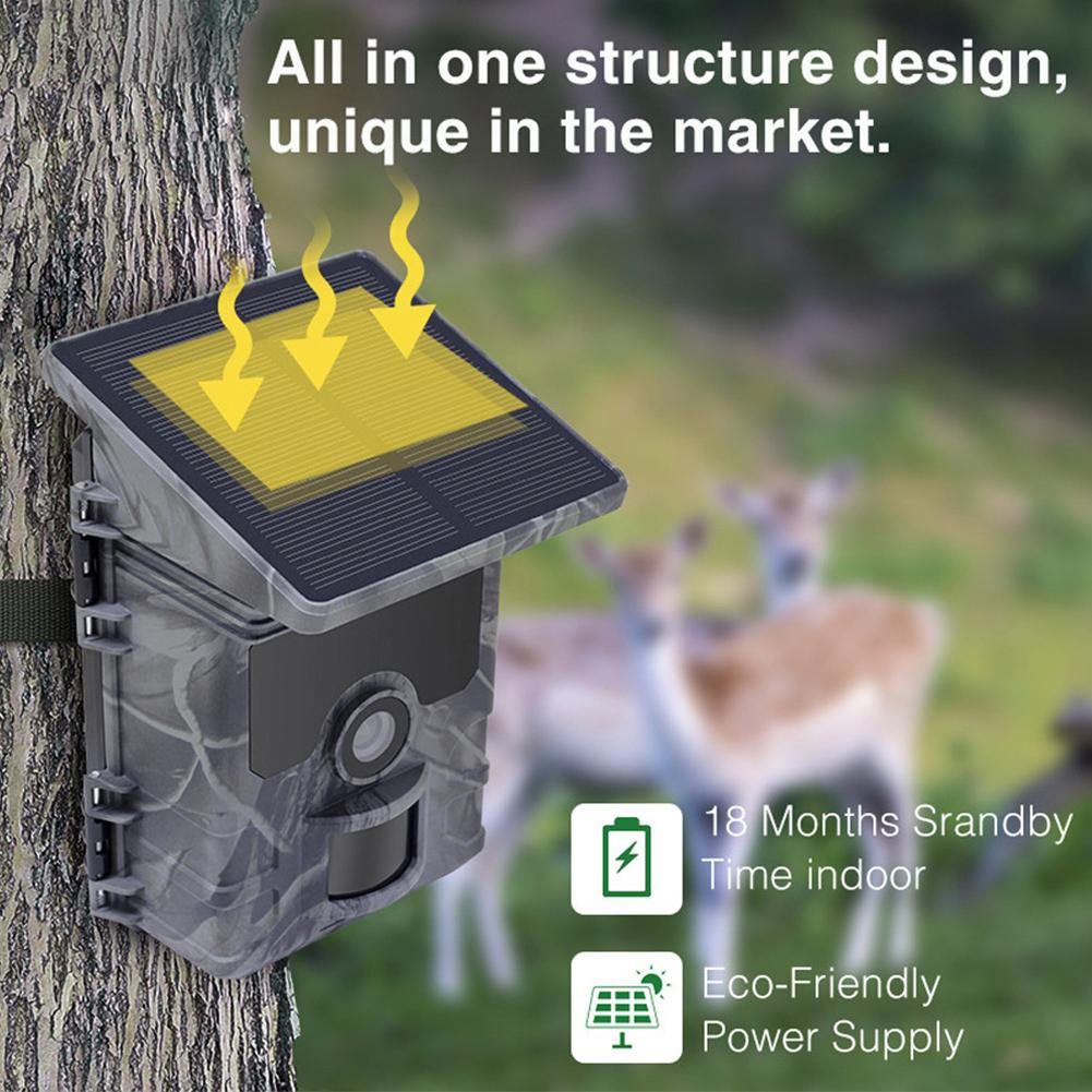 Солнечная камера для слежения 24MP 1080P Солнечная камера для охоты Инфракрасная камера ночного видения для наблюдения за дикой природой Видеорегистратор